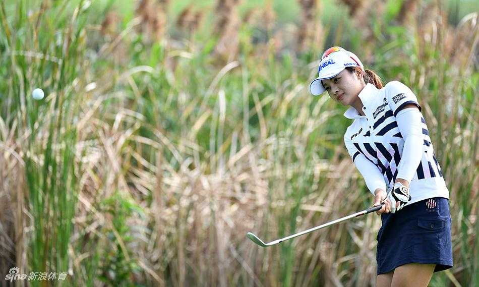 张维维在练习果岭旁全神贯注地切杆，眼神锐利地锁定小白球的落点