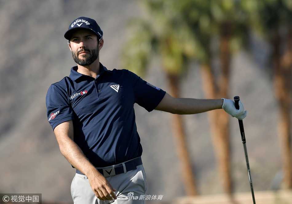 米克尔森在果岭上全神贯注进行推杆，眼神锐利地审视球与球洞间的线路